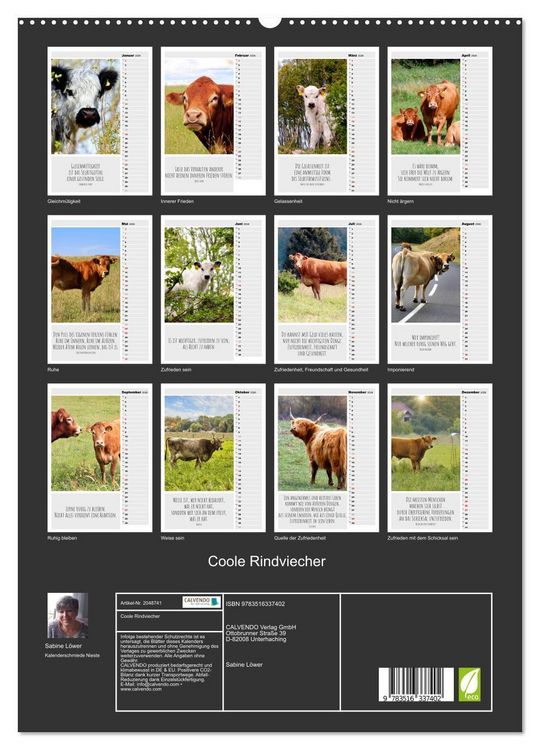 Produktbild: Coole Rindviecher (hochwertiger Premium Wandkalender 2026 DIN A2 hoch), Kunstdruck in Hochglanz