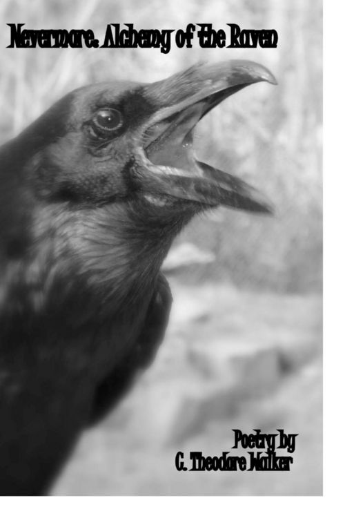 Produktbild: Nevermore; Alchemy of the Raven