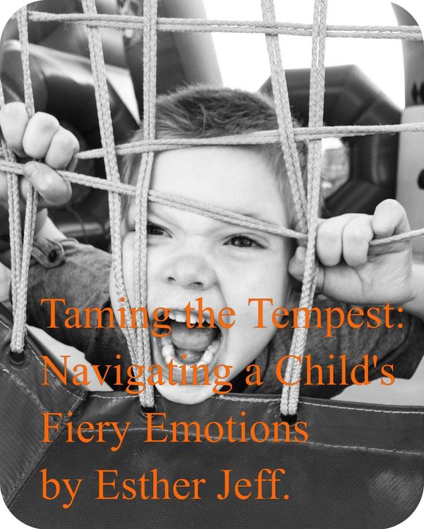 Produktbild: Taming the Tempest: Navigating My Child's Fiery Emotions