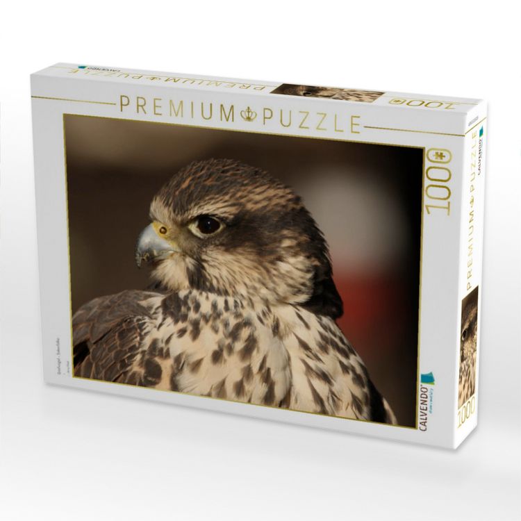 Produktbild: CALVENDO Puzzle Greifv&ouml;gel - Sakerfalke | 1000 Teile Lege-Gr&ouml;&szlig;e 64x48cm Foto-Puzzle f&uuml;r gl&uuml;ckliche Stunden