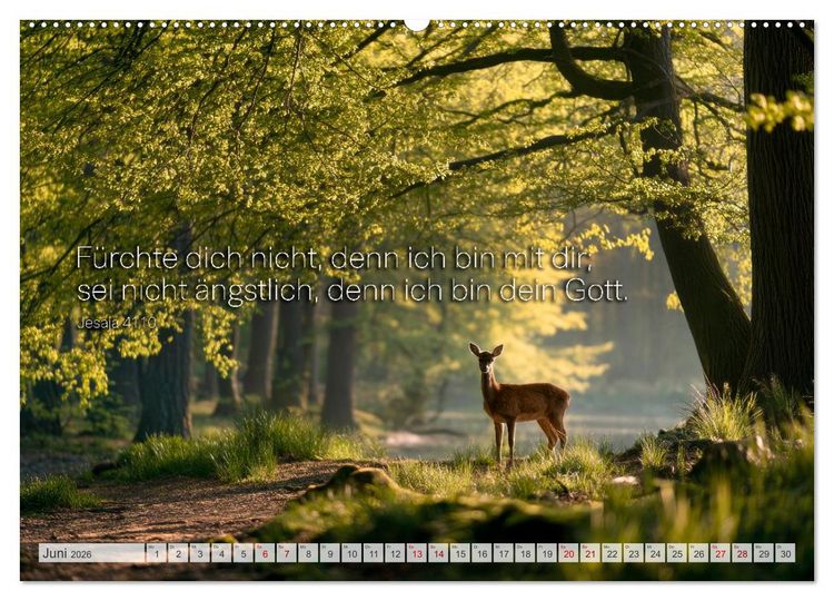 Produktbild: Psalmen und Bibelverse - Himmlische Botschaften (hochwertiger Premium Wandkalender 2026 DIN A2 quer), Kunstdruck in Hochglanz