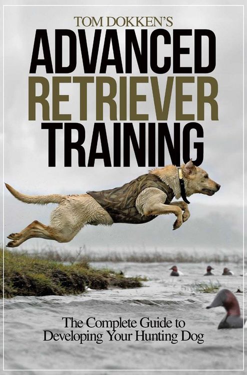 Produktbild: Tom Dokken's Advanced Retriever Training
