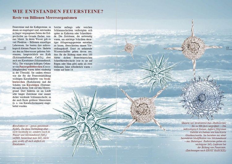 Produktbild: Feuersteine, H&uuml;hnerg&ouml;tter