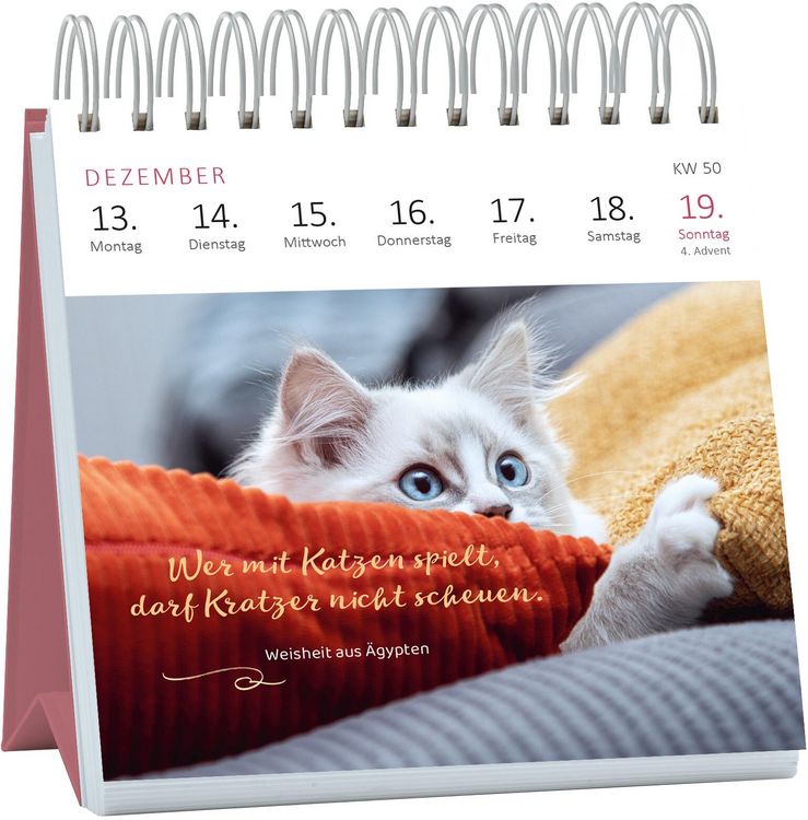 Produktbild: Mini-Wochenkalender Katzenweisheiten 2027