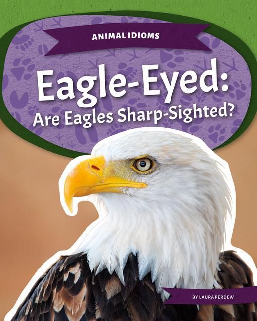 Produktbild: Eagle-Eyed: Are Eagles Sharp-Sighted?