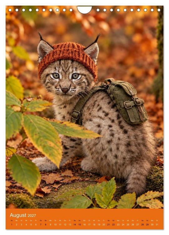 Produktbild: Goldener Herbst Eine tierische Fantasiewelt (Wandkalender 2027 DIN A4 hoch), CALVENDO Monatskalender