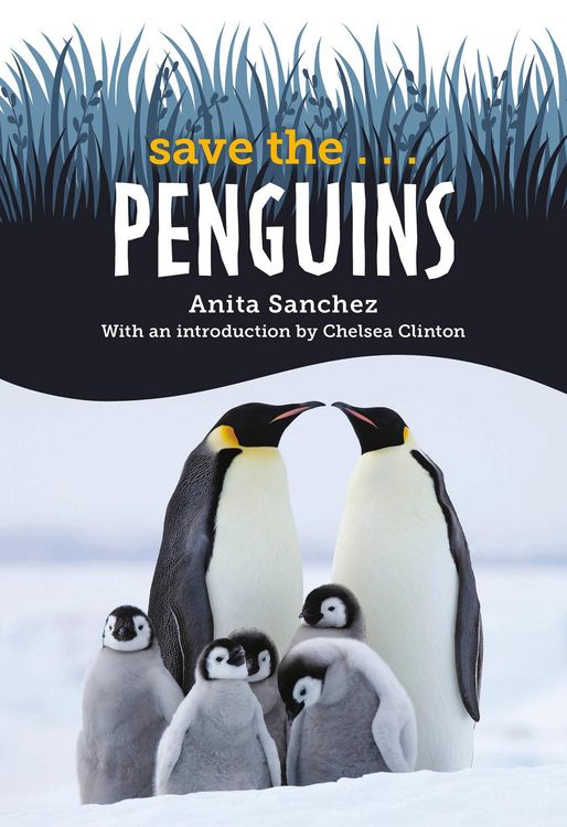 Produktbild: Save The... Penguins