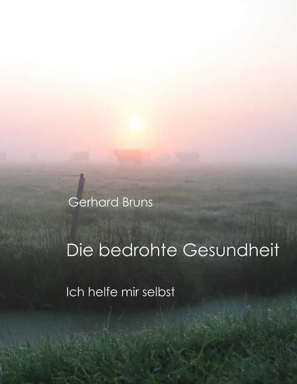 Produktbild: Die bedrohte Gesundheit