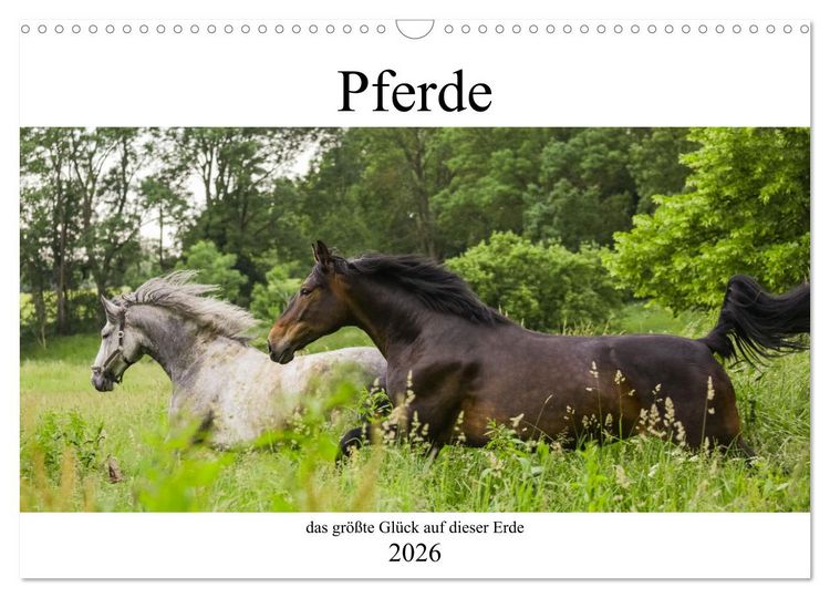Produktbild: Pferde, das gr&ouml;&szlig;te Gl&uuml;ck auf dieser Erde (Wandkalender 2026 DIN A3 quer), CALVENDO Monatskalender
