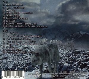 Produktbild: Forces Of The Northern Night