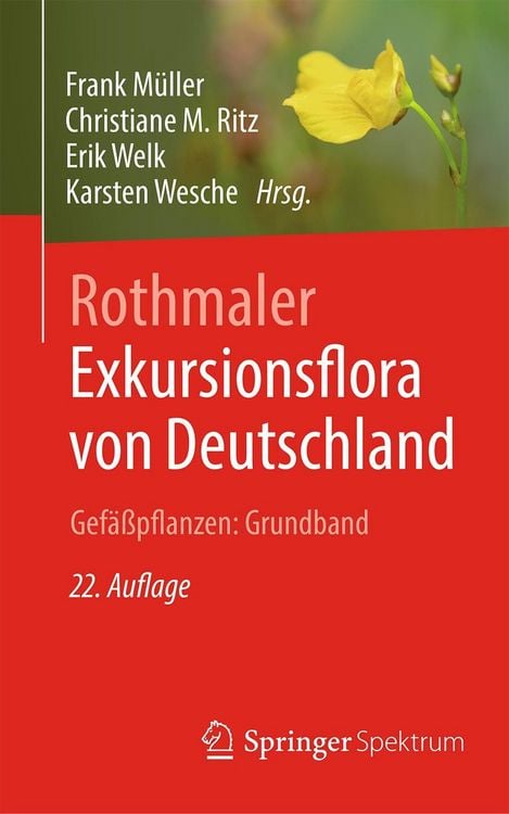 Produktbild: Rothmaler - Exkursionsflora von Deutschland. Gef&auml;&szlig;pflanzen: Grundband