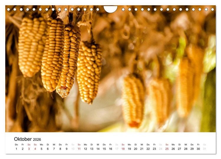 Produktbild: Peru - Land der Inkas und Alpakas (Wandkalender 2026 DIN A4 quer), CALVENDO Monatskalender