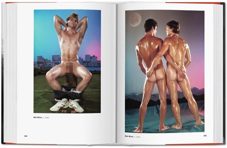 Produktbild: The Male Nude