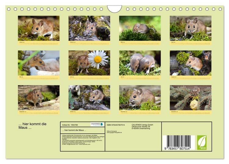 Produktbild: ... hier kommt die Maus ... (Wandkalender 2026 DIN A4 quer), CALVENDO Monatskalender