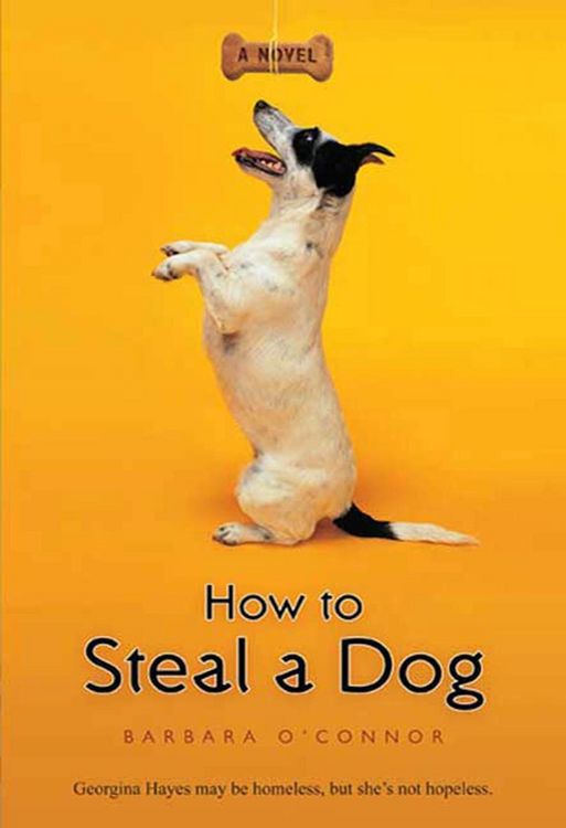 Produktbild: How to Steal a Dog