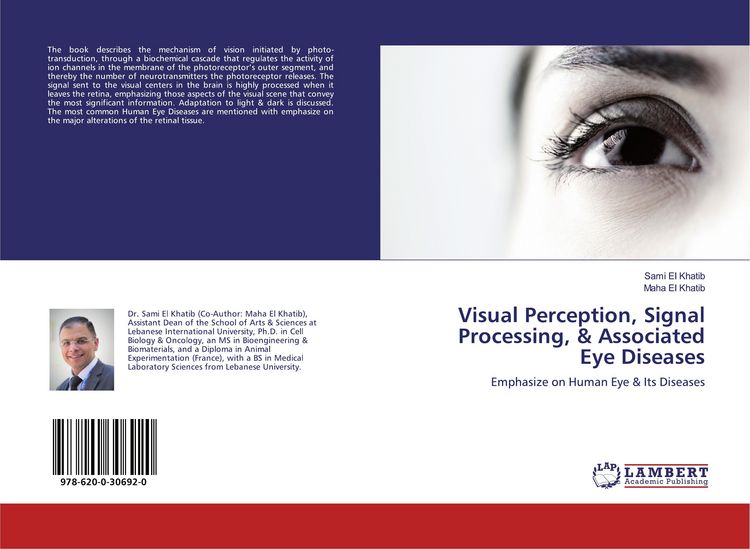 Produktbild: Visual Perception, Signal Processing, & Associated Eye Diseases