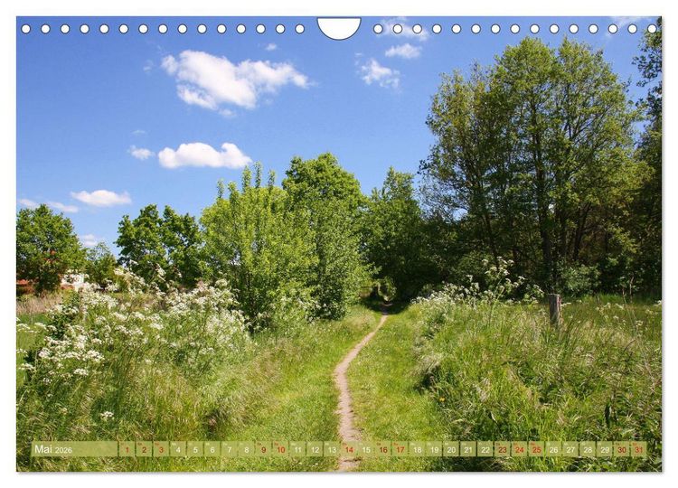 Produktbild: Brandenburg - sch&ouml;ne Ausflugsziele s&uuml;dlich von Berlin (Wandkalender 2026 DIN A4 quer), CALVENDO Monatskalender
