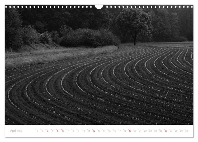 Produktbild: Mystischer Schwarzwald (Wandkalender 2026 DIN A3 quer), CALVENDO Monatskalender