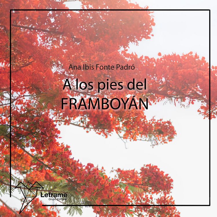 Produktbild: A los pies del Framboy&aacute;n