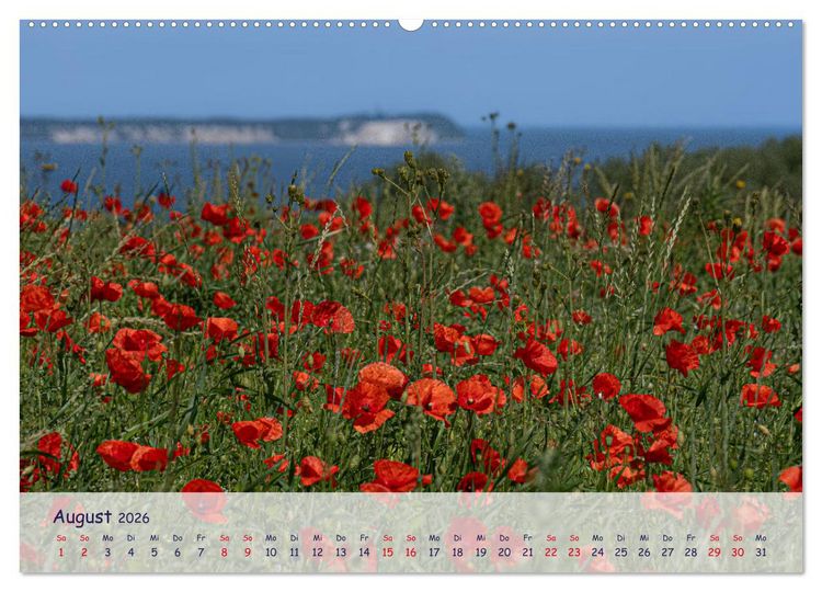 Produktbild: R&uuml;genliebe (Wandkalender 2026 DIN A2 quer), CALVENDO Monatskalender