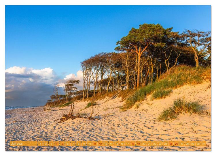 Produktbild: Fischland-Dar&szlig;-Zingst Impressionen einer Halbinsel (Wandkalender 2026 DIN A4 quer), CALVENDO Monatskalender