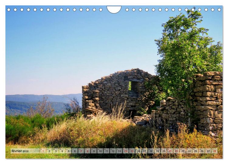 Produktbild: Les C&eacute;vennes typiques (Calendrier mural 2026 DIN A4 vertical), CALVENDO calendrier mensuel