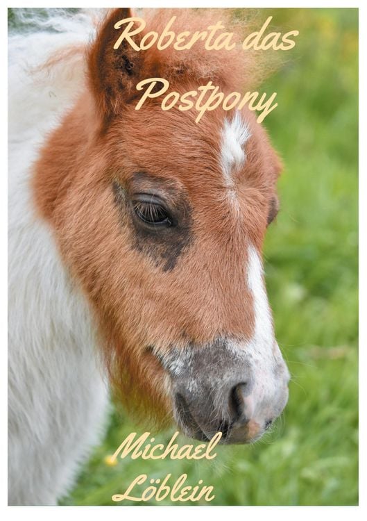 Produktbild: Roberta das Postpony