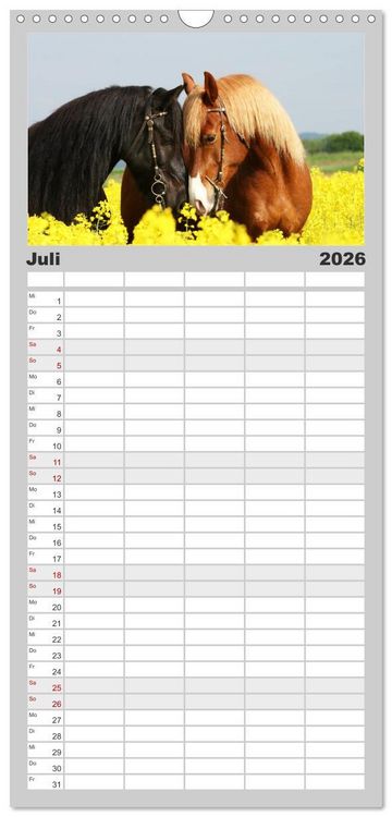 Produktbild: Familienplaner 2026 - Pferde - im Galopp durch's Jahr mit 5 Spalten (Wandkalender, 21 x 45 cm) CALVENDO