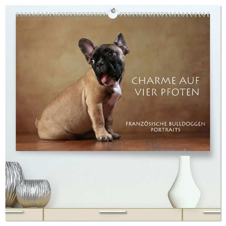 Produktbild: Charme auf vier Pfoten - Franz&ouml;sische Bulldoggen Portraits (hochwertiger Premium Wandkalender 2026 DIN A2 quer), Kunstdruck in Hochglanz