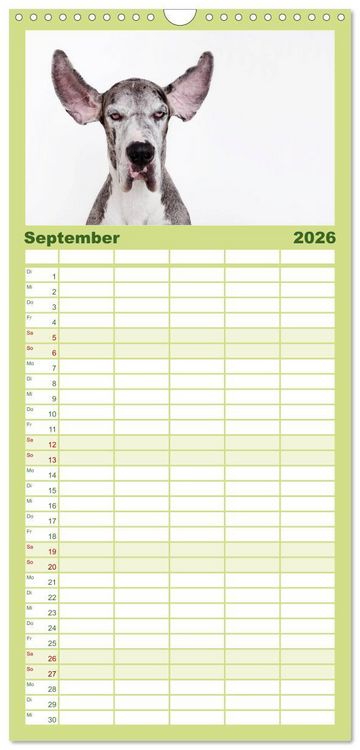 Produktbild: Familienplaner 2026 - SCHLAPPOHREN mit 5 Spalten (Wandkalender, 21 x 45 cm) CALVENDO