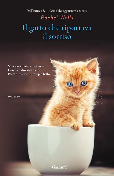 Produktbild: Il gatto che riportava il sorriso