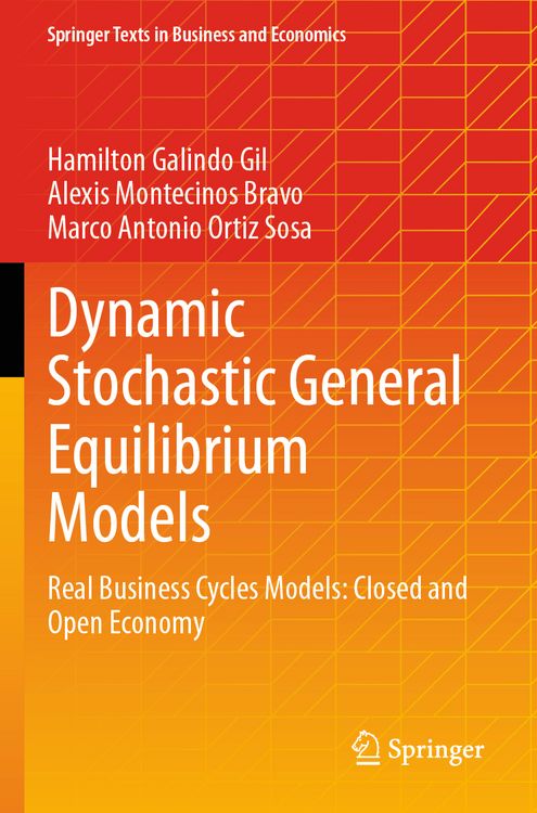 Produktbild: Dynamic Stochastic General Equilibrium Models