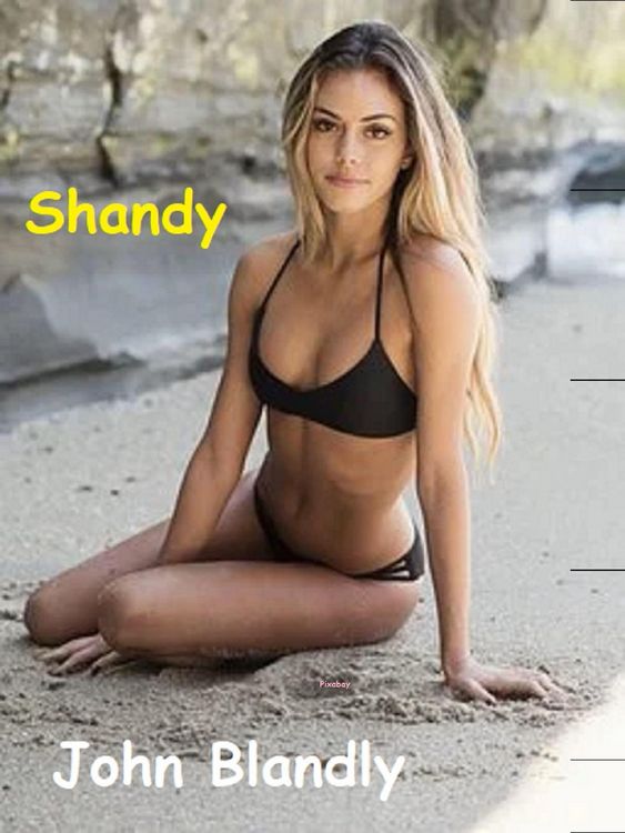 Produktbild: Shandy