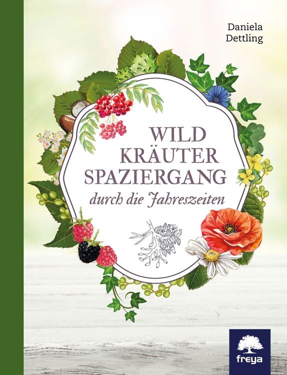 Produktbild: Wildkräuterspaziergang durch die Jahreszeiten