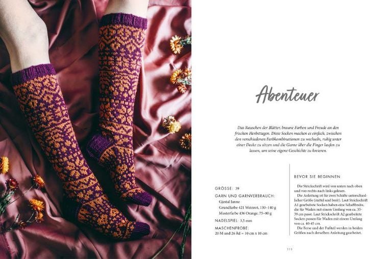 Produktbild: Scandi-Socken stricken