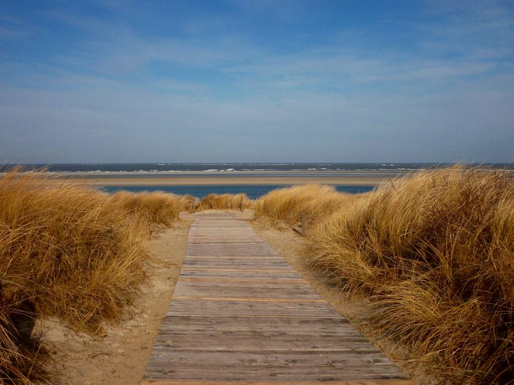 Produktbild: CALVENDO Puzzle Weg zum Meer 1000 Teile Lege-Gr&ouml;&szlig;e 64 x 48 cm Foto-Puzzle Bild von kattobello