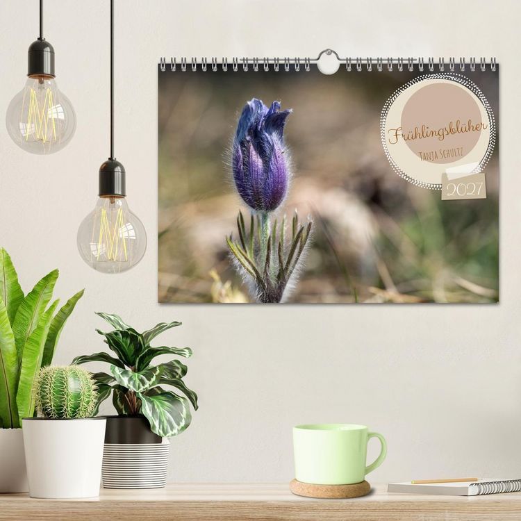 Produktbild: Fr&uuml;hlingsbl&uuml;her - Farbenpracht nach dem Winter (Wandkalender 2027 DIN A4 quer), CALVENDO Monatskalender