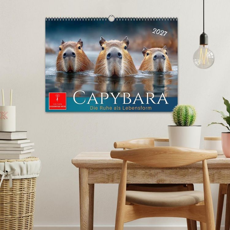 Produktbild: Capybara - die Ruhe als Lebensform (Wandkalender 2027 DIN A3 quer), CALVENDO Monatskalender