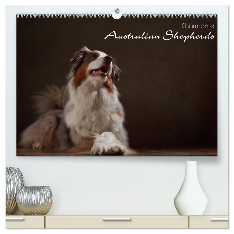 Produktbild: Charmante Australian Shepherds (hochwertiger Premium Wandkalender 2026 DIN A2 quer), Kunstdruck in Hochglanz