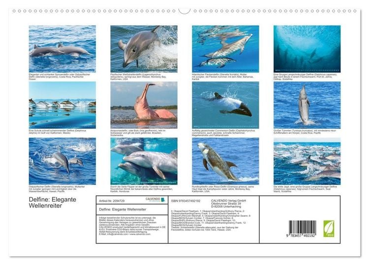 Produktbild: Delfine: Elegante Wellenreiter (hochwertiger Premium Wandkalender 2026 DIN A2 quer), Kunstdruck in Hochglanz