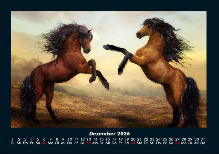 Produktbild: Pferdegefl&uuml;ster 2026 Fotokalender DIN A4