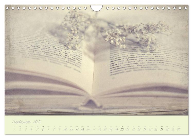 Produktbild: Shabby ist Chic (Wandkalender 2026 DIN A4 quer), CALVENDO Monatskalender