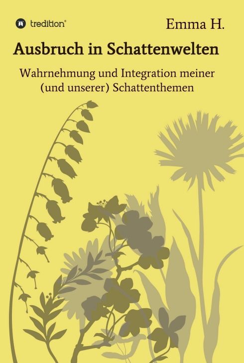 Produktbild: Ausbruch in Schattenwelten