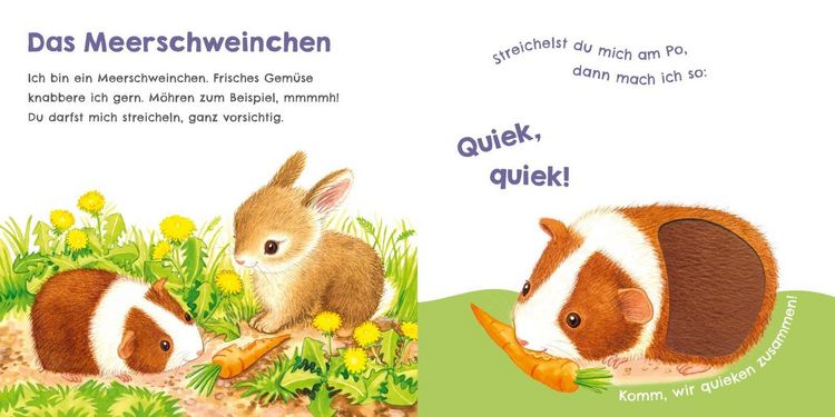 Produktbild: H&ouml;r mal, wie ich miauen kann (Mein erstes Streichel-Soundbuch 2)