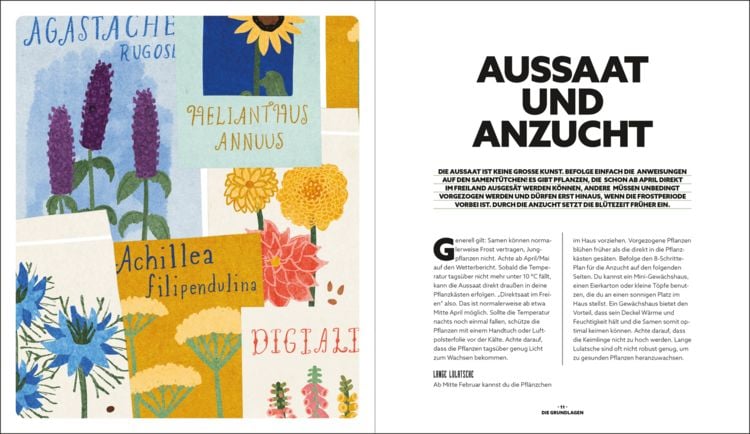 Produktbild: Blumenzauber &ndash; Mein bl&uuml;hendes Paradies auf Balkon und Terrasse
