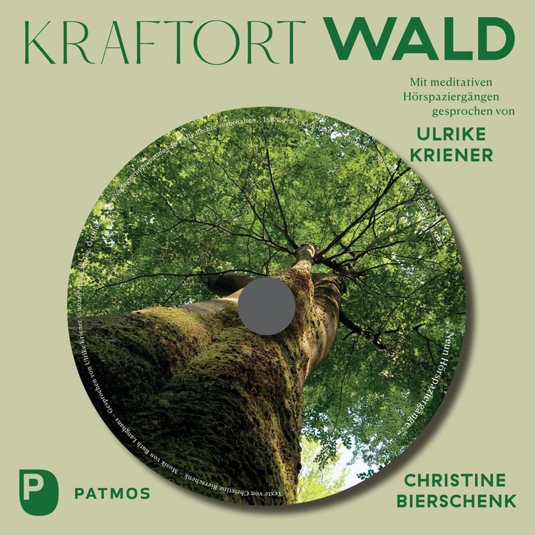 Produktbild: Kraftort Wald