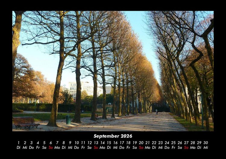 Produktbild: B&auml;ume 2026 Fotokalender DIN A3