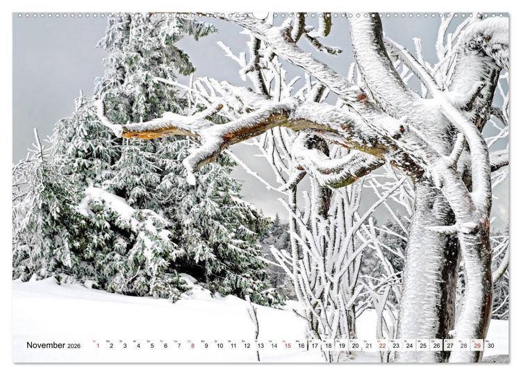 Produktbild: Eiszeit. Winter und Frost in der Natur (hochwertiger Premium Wandkalender 2026 DIN A2 quer), Kunstdruck in Hochglanz