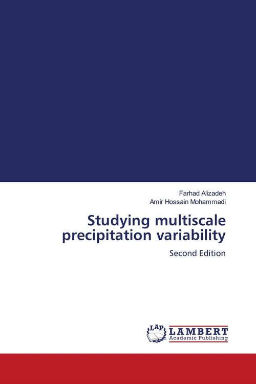 Produktbild: Studying multiscale precipitation variability