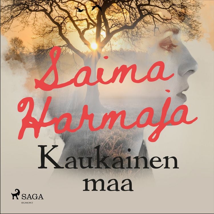 Produktbild: Kaukainen maa